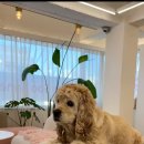 수앤아이헤어 이미지