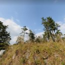 덕수교차로(평화로) 이미지