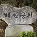 매탄공원 후기