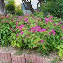 강동로1-80 이미지