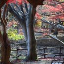 여명로25번길 이미지