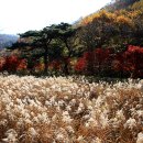 성주산자연휴양림 이미지