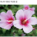 1,2 웃음꽃 활짝 [행시]/ 무궁화꽃 이미지