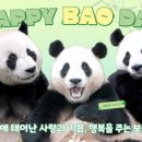 광장숯불갈비 이미지