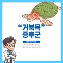 왜관마디척의원 이미지