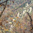 둔덕삼거리 이미지