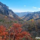 국도 44호선 따라가는 설악 단풍 한계령 단풍 로드에 팔도 사투리 기사 이미지