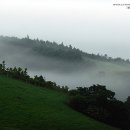 새벽목장 이미지