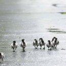 100세 시대 증여상속 이미지