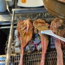 호호양꼬치양갈비 | 안성 공도 맛집 호호양꼬치양갈비, 양갈비와 마라탕의 매콤한 완벽 조합 후기