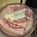 51 | 산본 금정 [서래통]