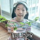 26년 첫영성체 첫번째이야기 이미지