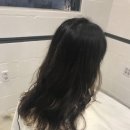 더 헤담