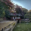 창덕궁 풍류-1828  연경당 | 비밀의 정원을 걷다, 가을 창덕궁 후원의 매력
