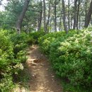 장수장의사 이미지