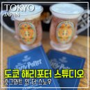 [일본/도쿄] 도쿄 해리포터 스튜디오&amp;호그와트 인 더 스노우 다녀온 후기(2편)