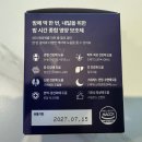 강아지종합영양제 고민된다면｜밤 전용 루틴 관리 이지 케어 나이트 후기
