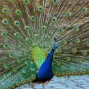 파주민물 이미지