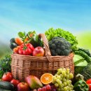 초정 | 코 막히던 내가 달라졌다 비염 그린백초정 후기