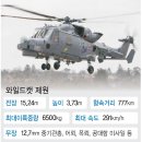 와일드캣 이미지