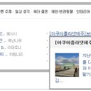 브이패스