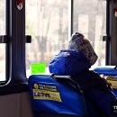 봄볕내리는날 이미지