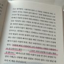 뚱띠토스트 | 29주 임산부 제주여행🫶 맛집 뿌시기, 카페 책읽기, 취다선 &amp; 그랜드 하얏트 숙박 후기