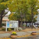 가평 군립도서관 이미지