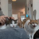 아톰센터 | 서길동 센터 봉사 후후기