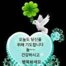 부흥연립 이미지