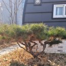 청도강변돌고래펜션 | 가성비좋은 펜션 " 청도강변돌고래펜션 "에 꼭 가보세용