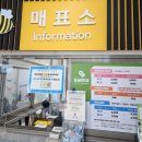 미디어피쉬 | 호롱빛공원 생태곤충원(그린타워+장영실과학관) 이용 후기 🐒🐜🐝