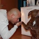 콧대높은 개 이미지