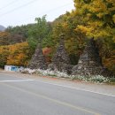 천탑마을 이미지