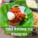 쭈꾸미공격대 이미지