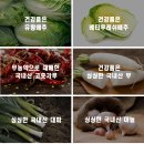 복내마을 영농조합법인 이미지