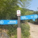 맹종죽순체험길 이미지