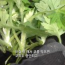 함평농장 이미지