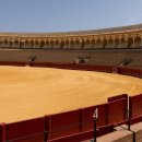 퀘렌시아 이미지