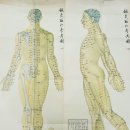 북경백침당한의원 이미지