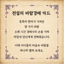 2026년 6월 초등상담나무 활동 정리 및 상담나무 소식