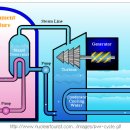 일본 후쿠시마 발전소(BWR) 와 한국 울진발전소(PWR) 비교 이미지