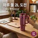 스탠리 베리쉬머 887ml, 물태기 극복한 3개월 솔직 후기