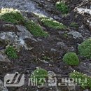 한라전설(주) 이미지