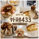 433 | [둔촌동카페] 분위기부터 맛까지 완벽했던 카페433 (애견동반, 아이스크림라떼 후기)