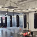 세종 익사이팅 복싱 이미지