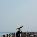 우산쓴고양이 | [Wpc] 가벼운 고양이 우양산 사용 후기/ Wpc x 마사유키 오키