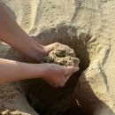 동해민박 이미지