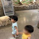 (주)동주프라자 | 인천 실내 동물원 쥬벅스 앤 쥬니멀 방학 때 아이랑 가기 좋은 곳