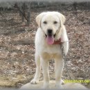 상근농장 이미지